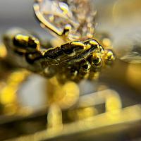 Драгоценная статуэтка